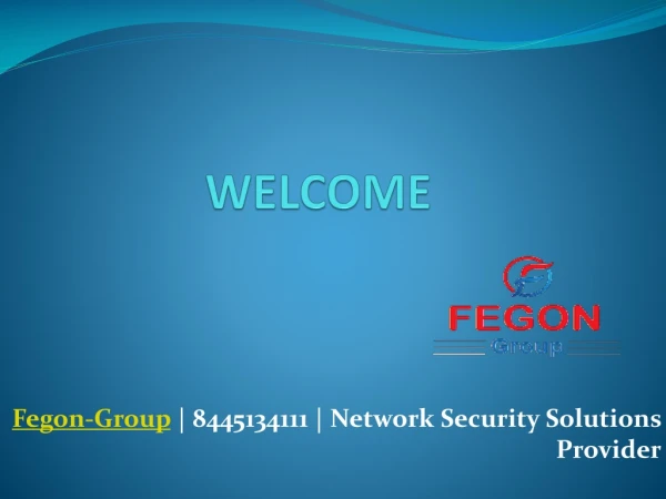 Fegon-Group - 8445134111 - Network Security Solutions Provider
