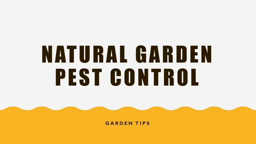 natural garden pest control