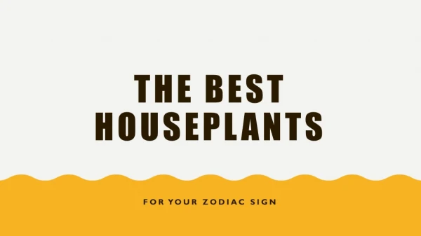 The Best Houseplant For Your Zodiac Sign
