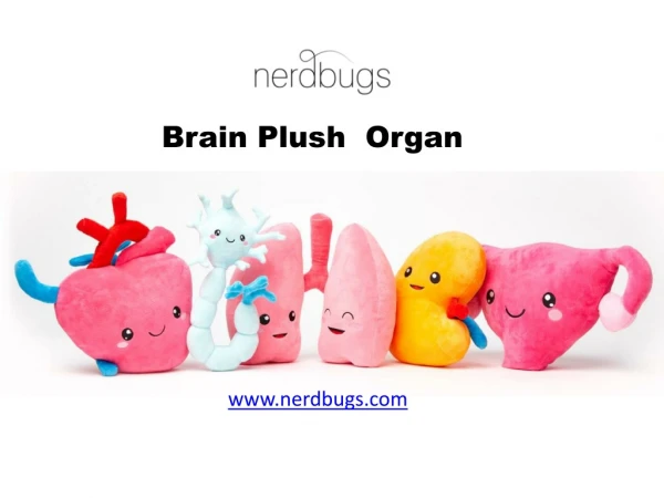 Brain Plush  Organ - nerdbugs.com