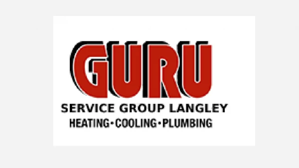 Boiler Service Langley