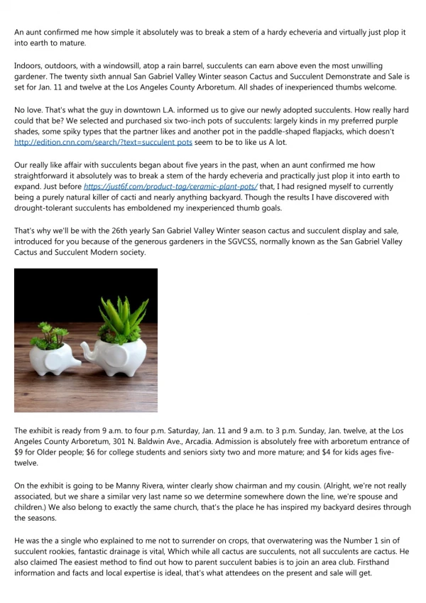 Why we love succulents - mini succulent pots