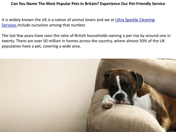 Can You Name The Most Popular Pets In Britain? Experience Our Pet-Friendly Service
