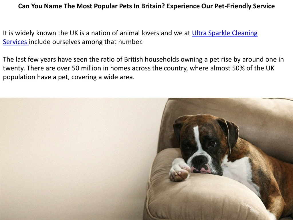 can you name the most popular pets in britain