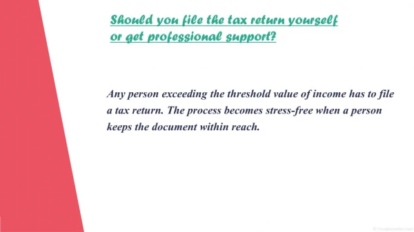 should you file the tax return yourself