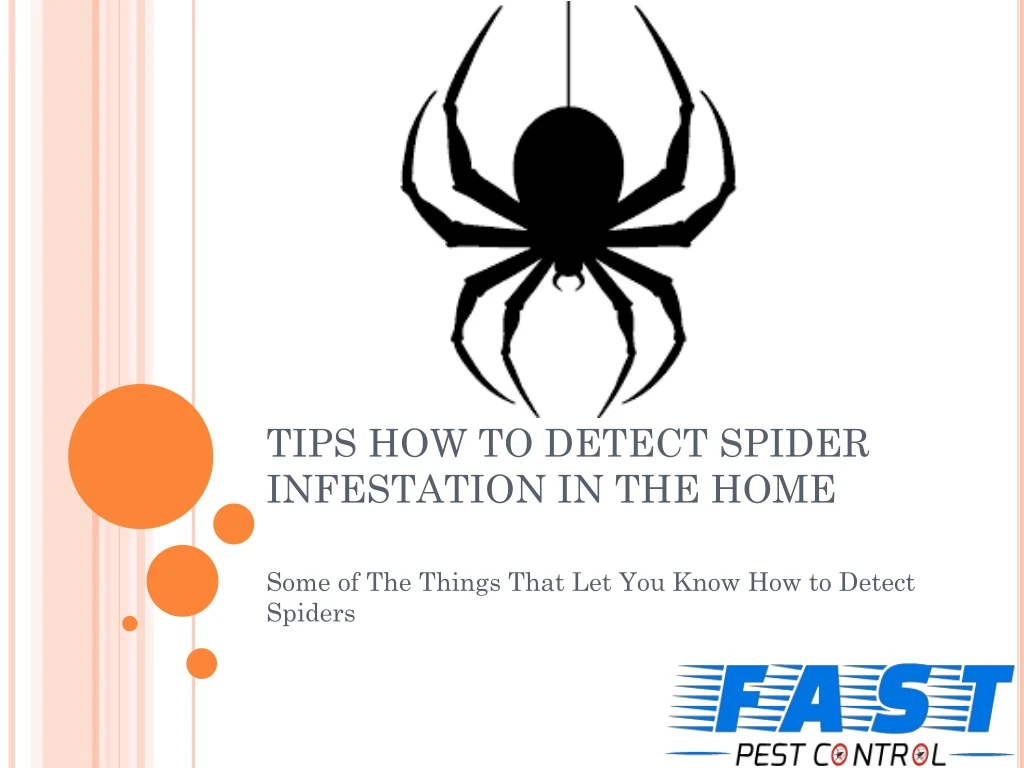 tips how to detect spider infestation in the home