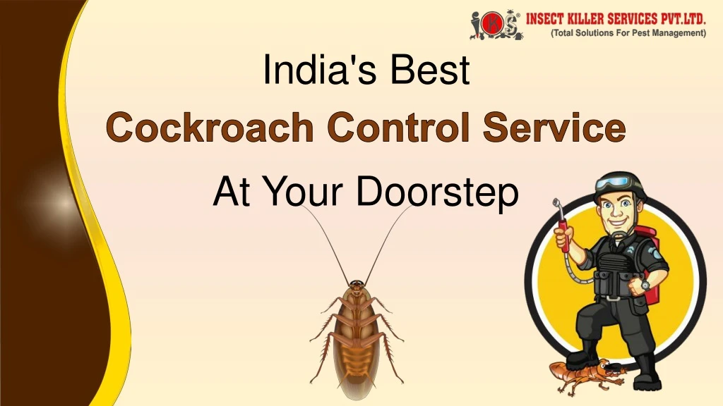 india s best cockroach control service at your