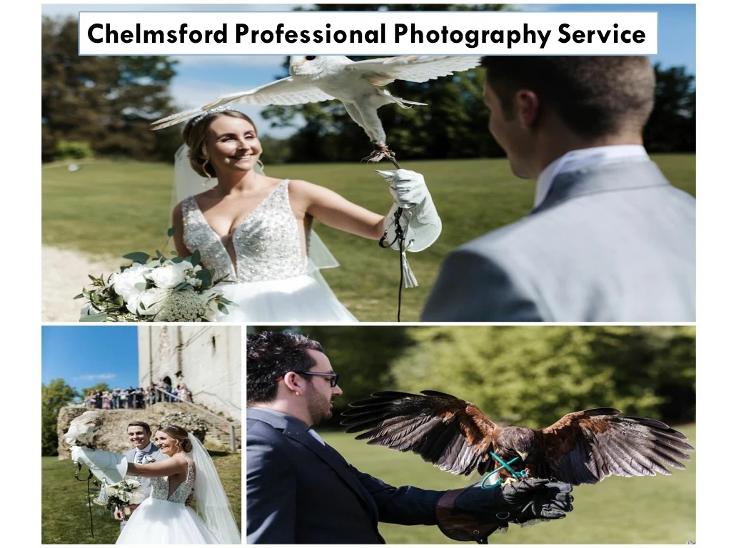 chelmsford professional photography service