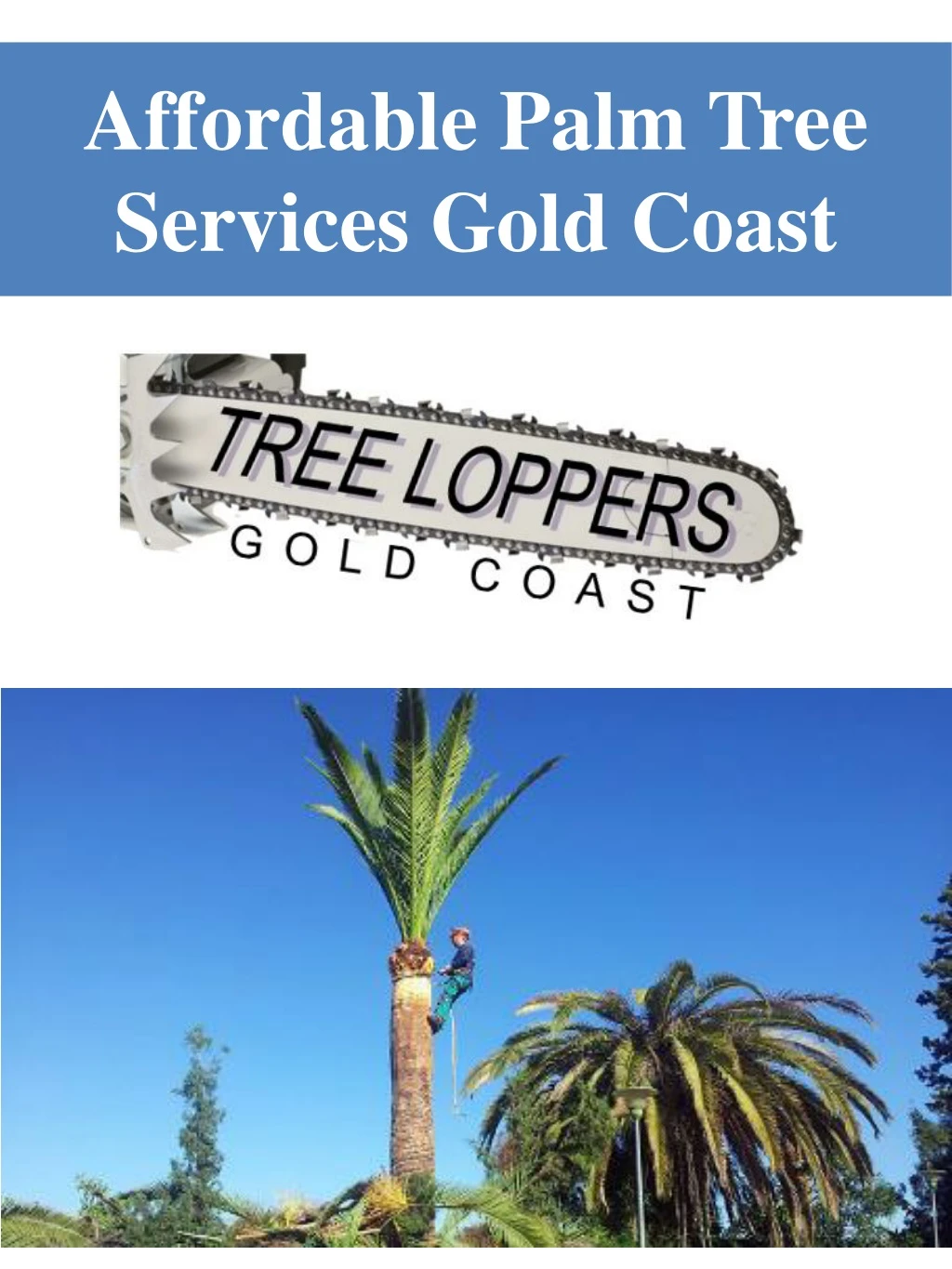 affordable palm tree services gold coast