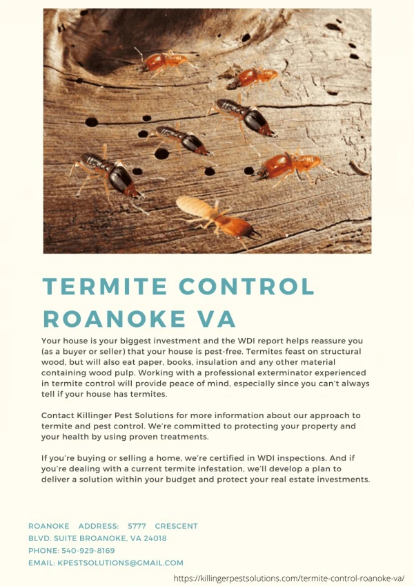 termite control