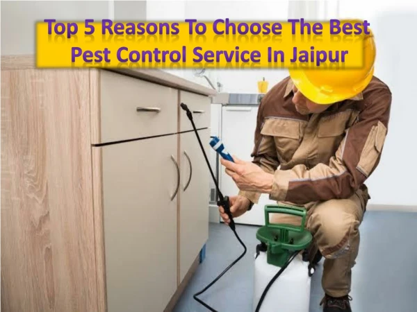 Top 5 Reasons to Choose the Best Pest Control Service in Jaipur
