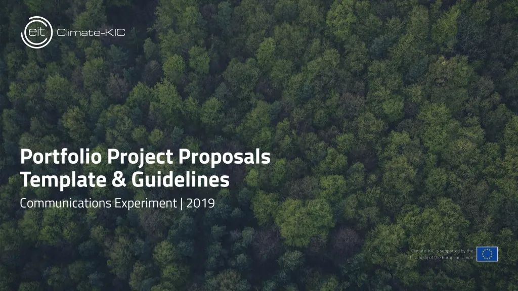 portfolio project proposals template guidelines