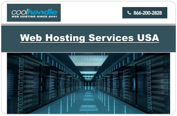 web hosting services usa