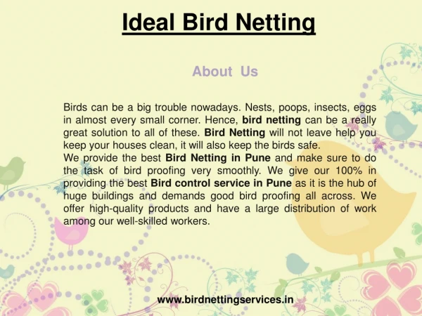 Pigeon, Bird Protection Netting in Pune - Ideal Bird Netting
