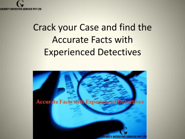 Accurate Facts with Experienced Detectives