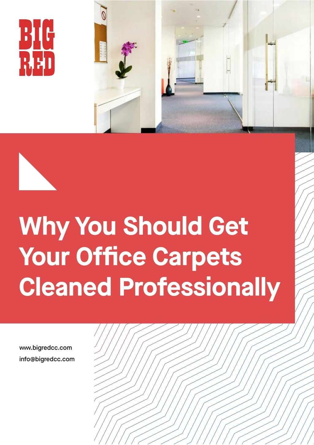 why you should get your office carpets cleaned