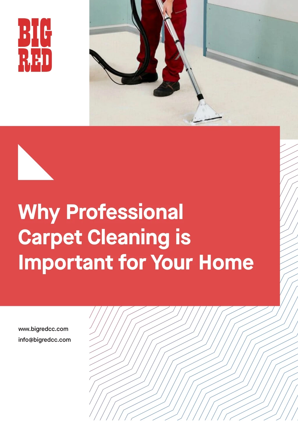 why professional carpet cleaning is important