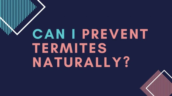 Can i prevent termites naturally?
