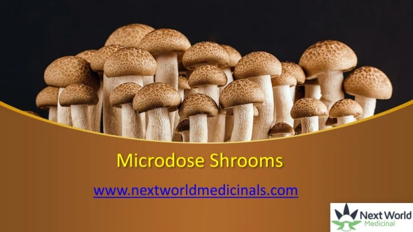 Microdose Shrooms - nextworldmedicinals