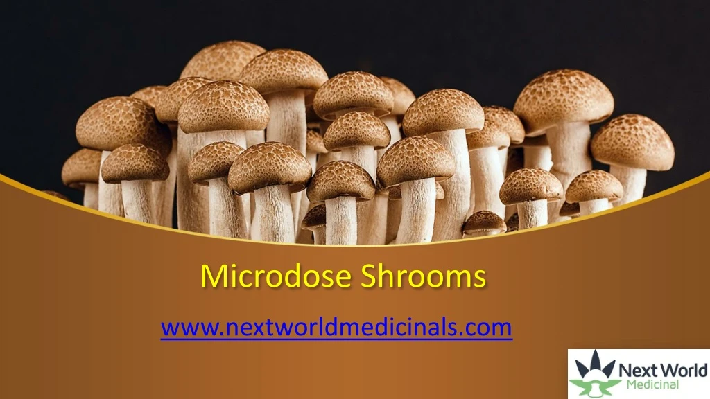 microdose shrooms