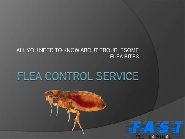all you need to know about troublesome flea bites
