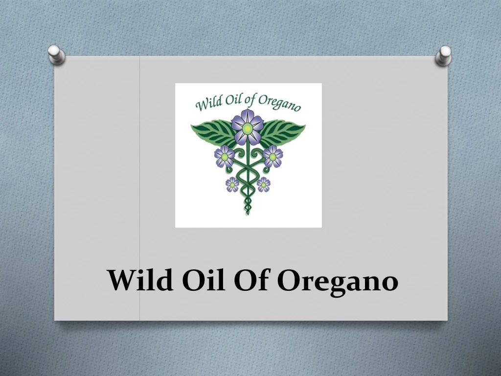 wild oil of oregano