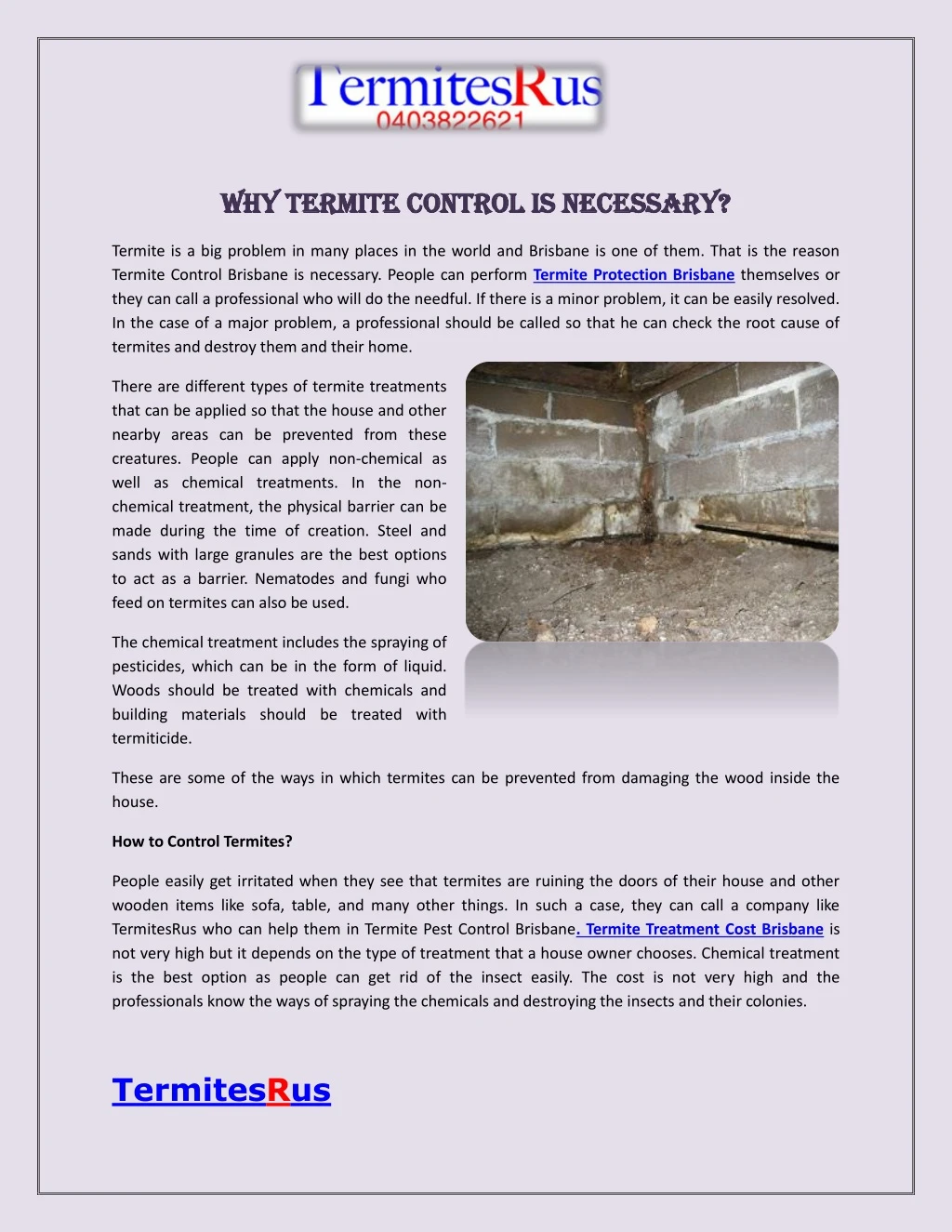 why termite control is necessary why termite