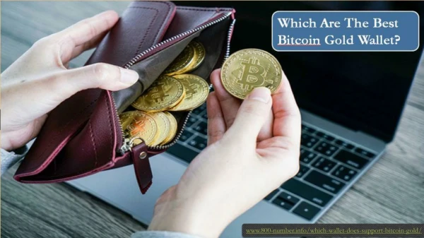 Which is the best Bitcoin Gold wallet?