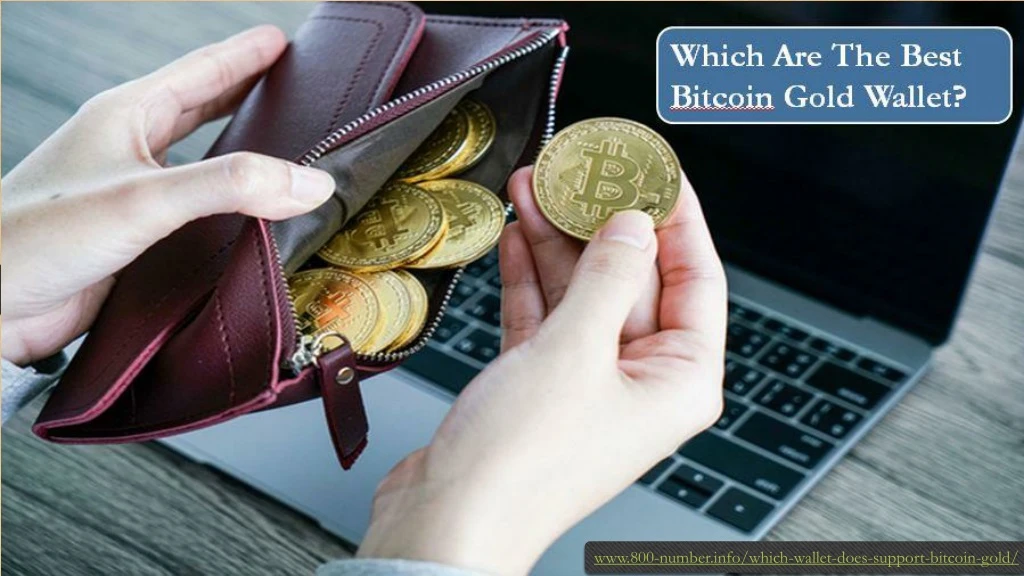 bitcoin gold wallet