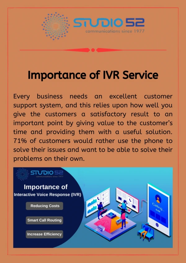 importance of ivr service