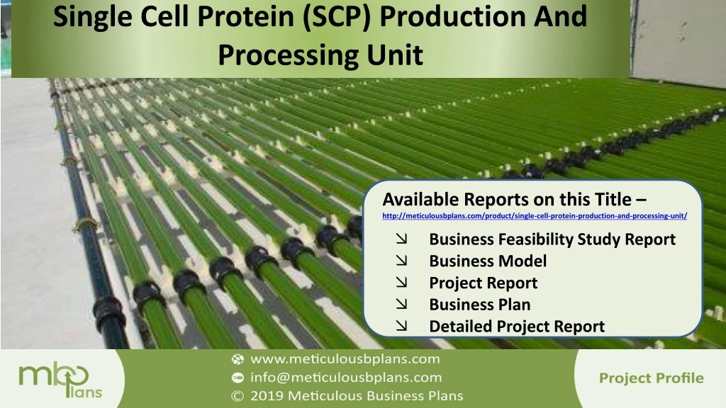 single cell protein scp production and processing