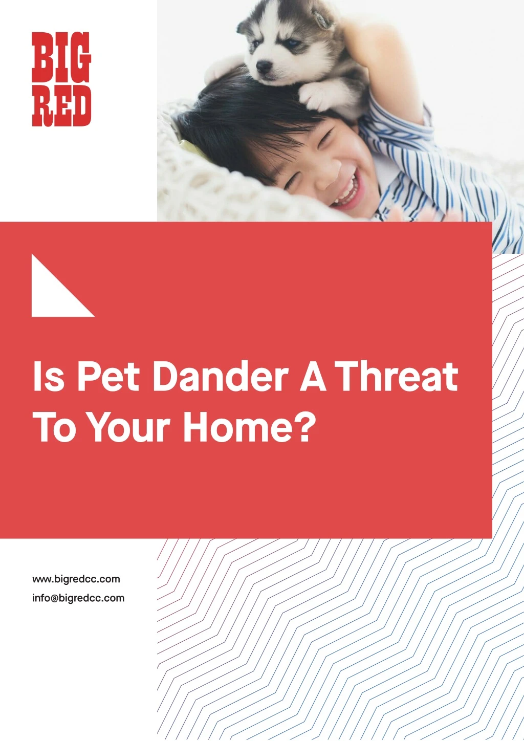 is pet dander a threat to your home