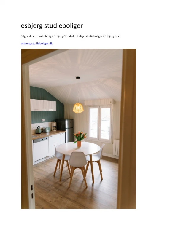 esbjerg studieboliger