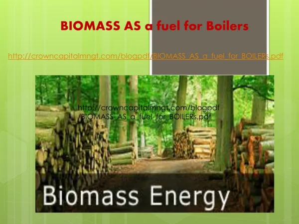 Crown Capital Eco Management, BIOMASS as a fuel for Boilers