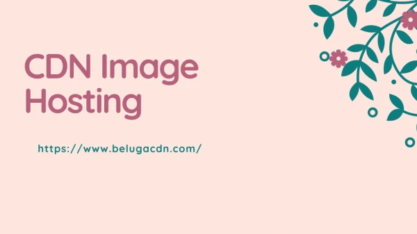 cdn image hosting