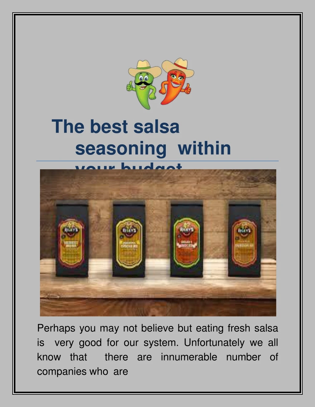 the best salsa seasoning within your budget
