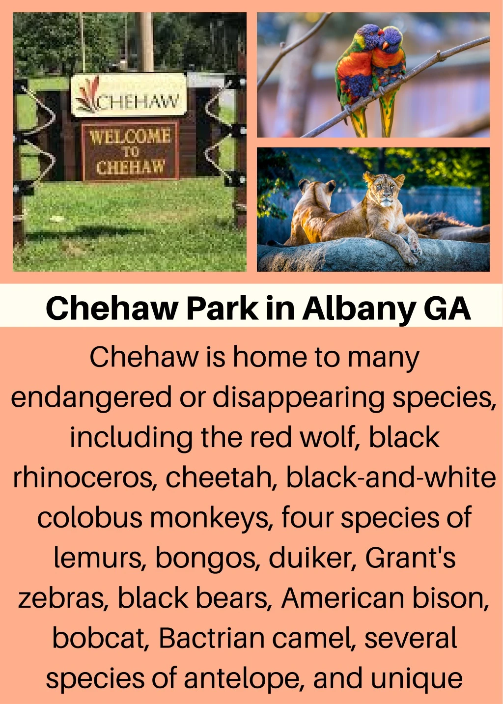 chehaw park in albany ga