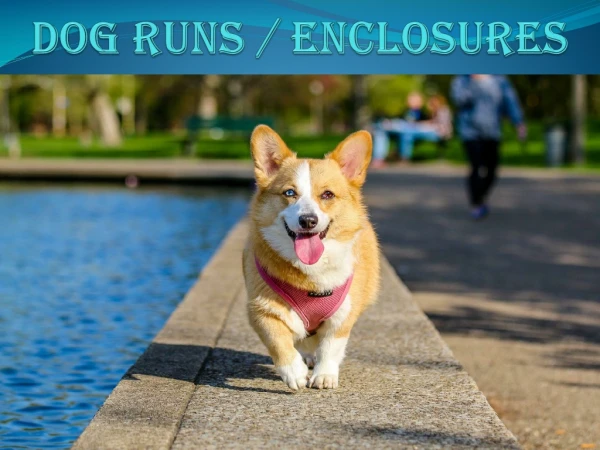 DOG RUNS / ENCLOSURES
