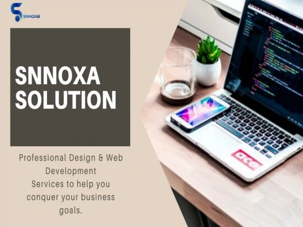 Snnoxa Solutions:Team of SEO Experts