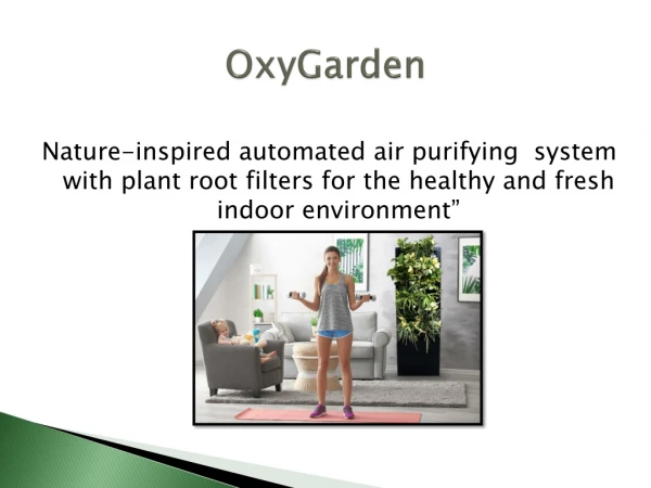 Air Purifier