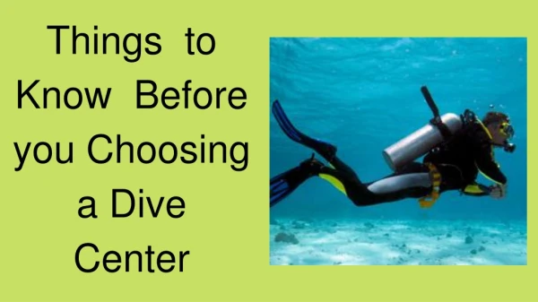 Things to Know Before You Choosing a Dive Center