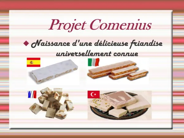 Projet Comenius
