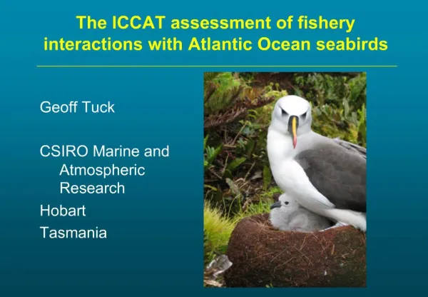 The ICCAT assessment of fishery interactions with Atlantic Ocean seabirds