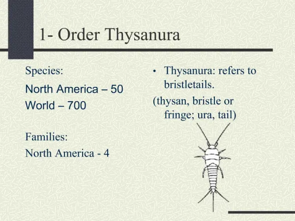 1- Order Thysanura