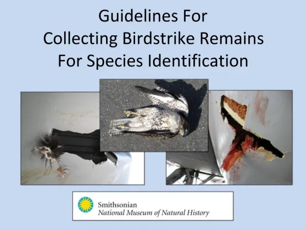 Guidelines For Collecting Birdstrike Remains For Species Identification