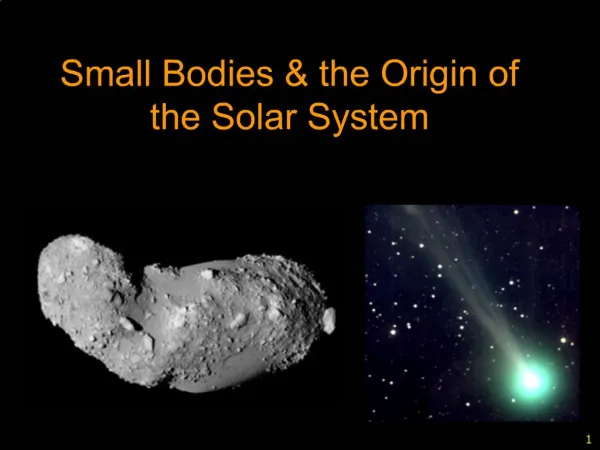 Small Bodies the Origin of the Solar System