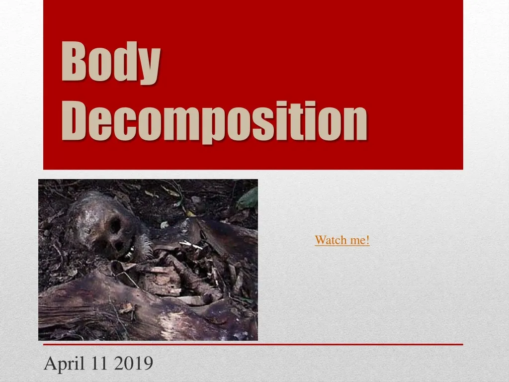 body decomposition