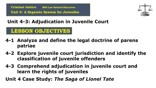 Criminal Justice BHS Law Related Education Unit 4: A Separate System for Juveniles