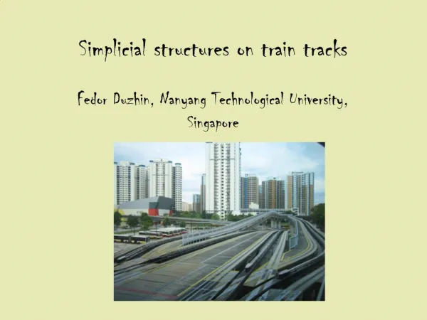 Simplicial structures on train tracks