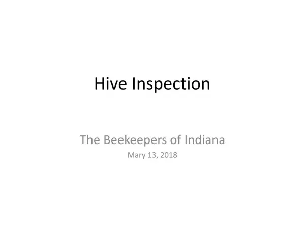 Hive Inspection
